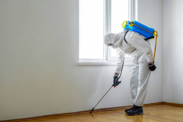 Best Pest Inspection Near Me  in Highlands, CA